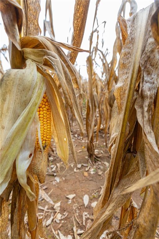 0 Southeast Virginia Road Kincaid, KS 66039 - Photo 47 of 99