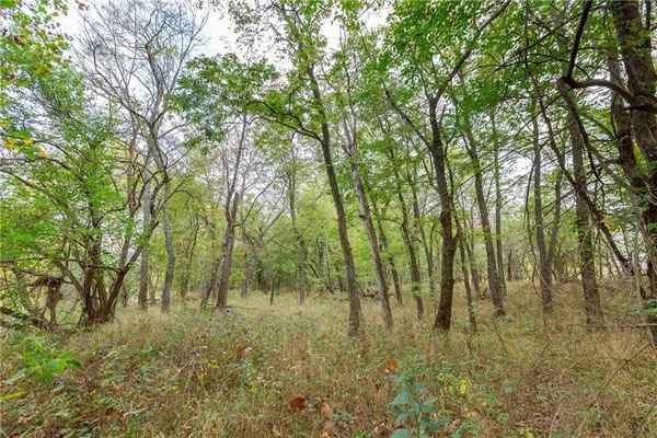 $1,750,000 | 0 Southeast Virginia Road, Kincaid, KS 66039