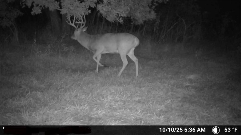 0 Southeast Virginia Road Kincaid, KS 66039 - Photo 5 of 99