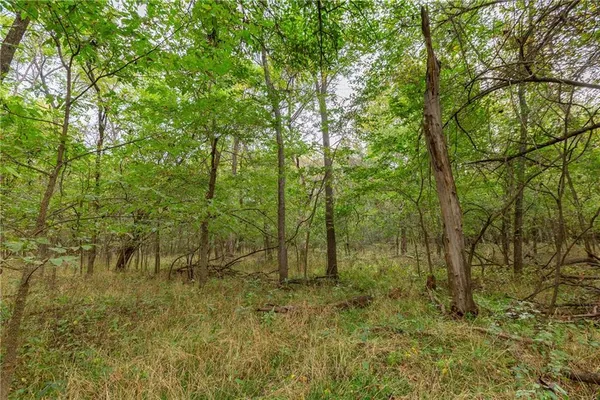 $1,750,000 | 0 Southeast Virginia Road, Kincaid, KS 66039