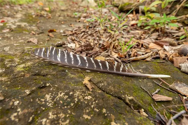 $1,750,000 | 0 Southeast Virginia Road, Kincaid, KS 66039