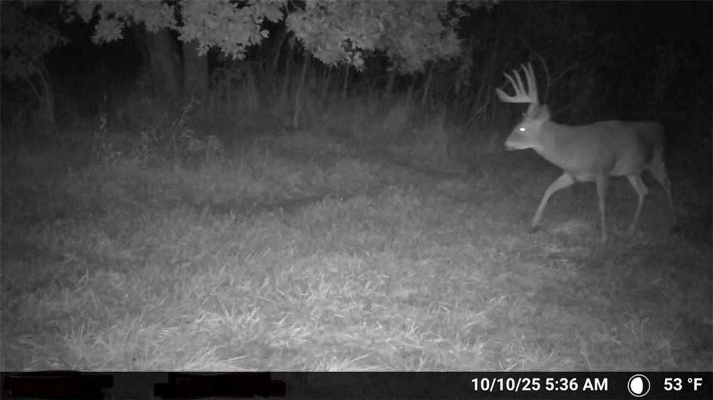 0 Southeast Virginia Road Kincaid, KS 66039 - Photo 6 of 99