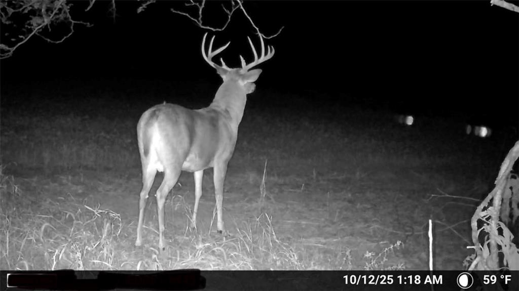 0 Southeast Virginia Road Kincaid, KS 66039 - Photo 7 of 99