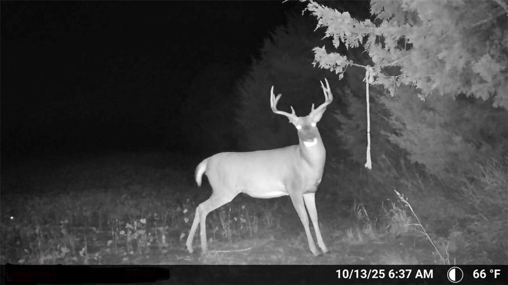 0 Southeast Virginia Road Kincaid, KS 66039 - Photo 8 of 99