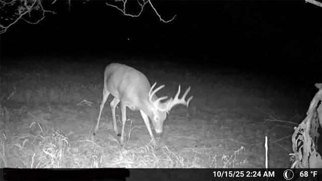 $1,874,100 | 0 Southeast Virginia Road, Kincaid, KS 66039