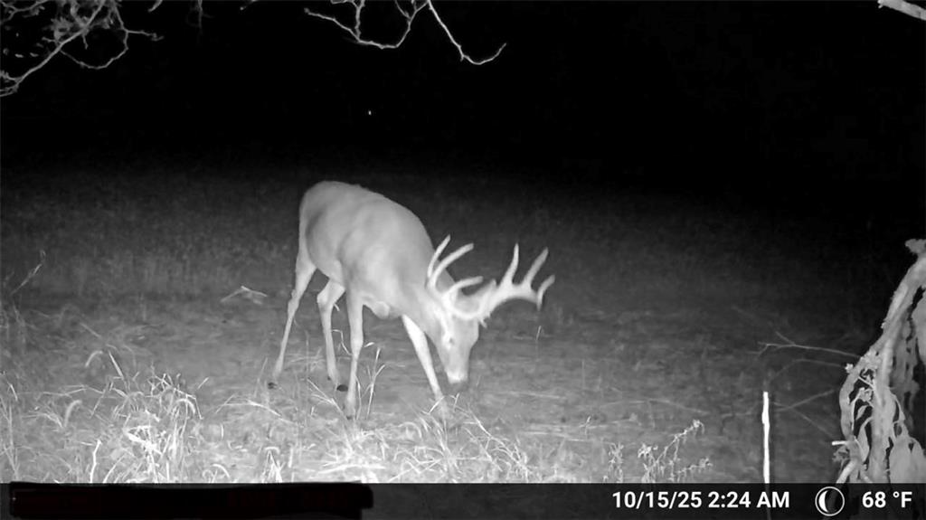 0 Southeast Virginia Road Kincaid, KS 66039 - Photo 10 of 99