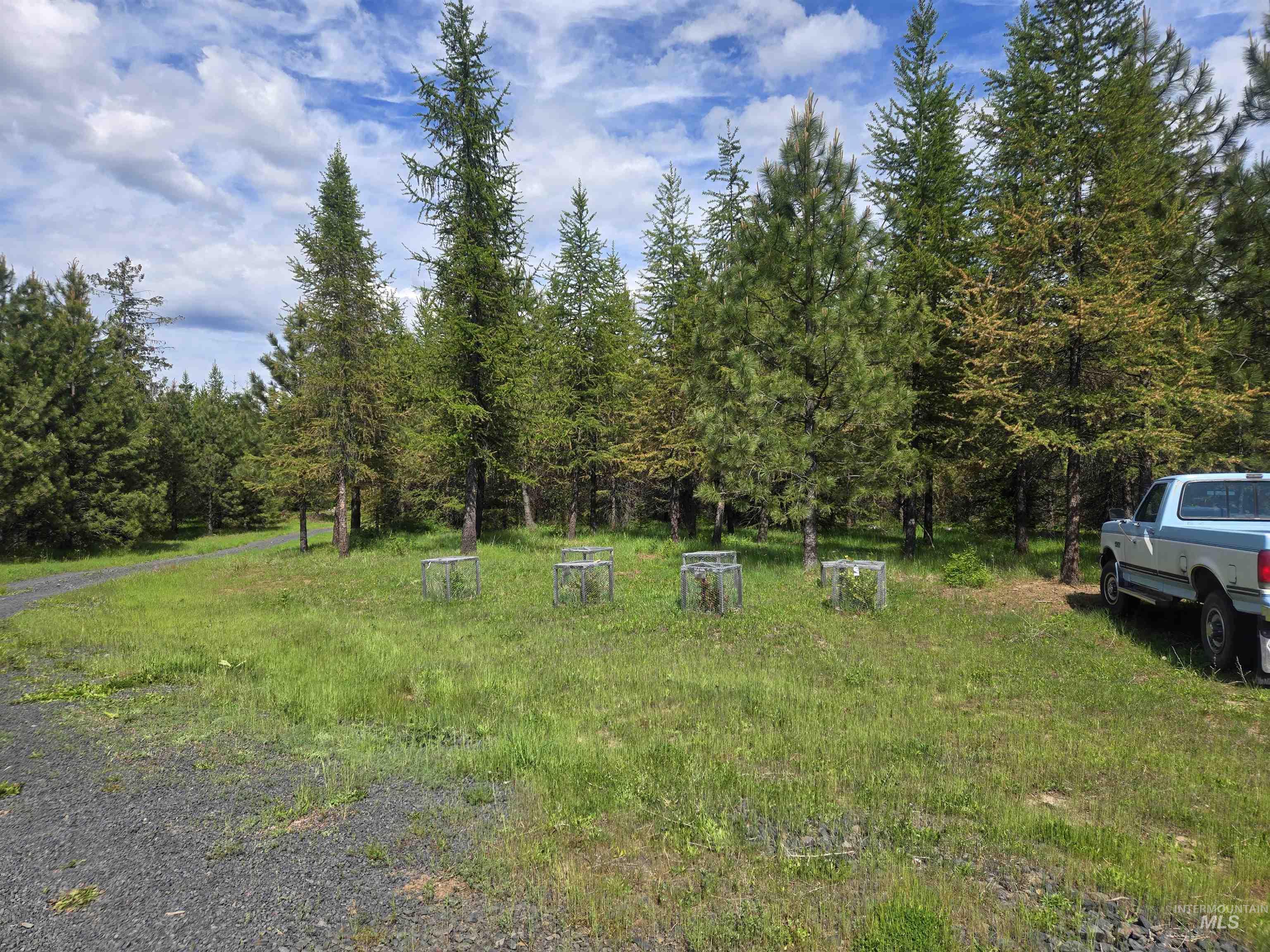 11970 Upper Fords Creek Road Orofino, ID 83544 - Photo 10 of 41
