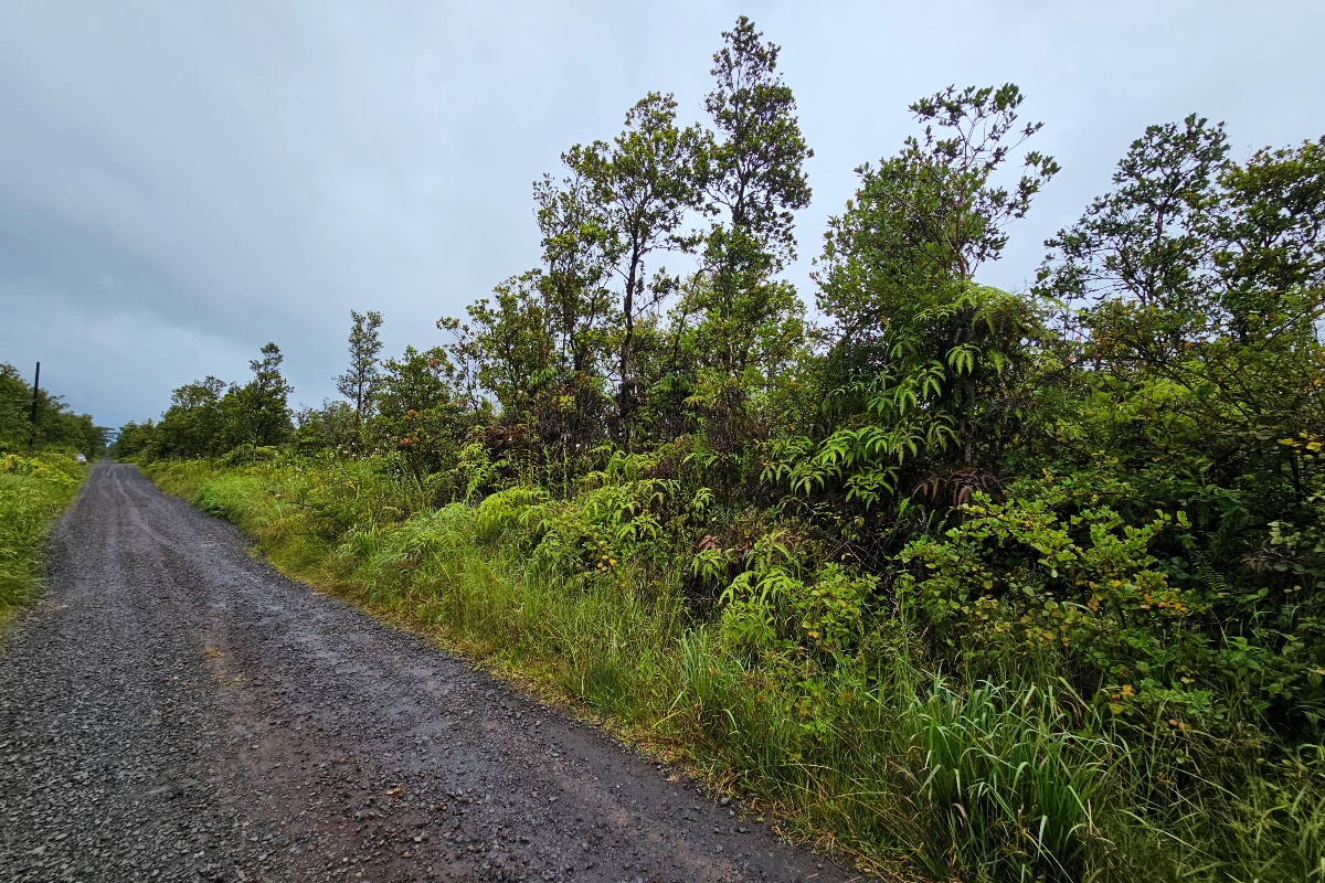 5 Makoa Road Pahoa, HI 96778 - Photo 2 of 5 a view of a yard with plants and a tree