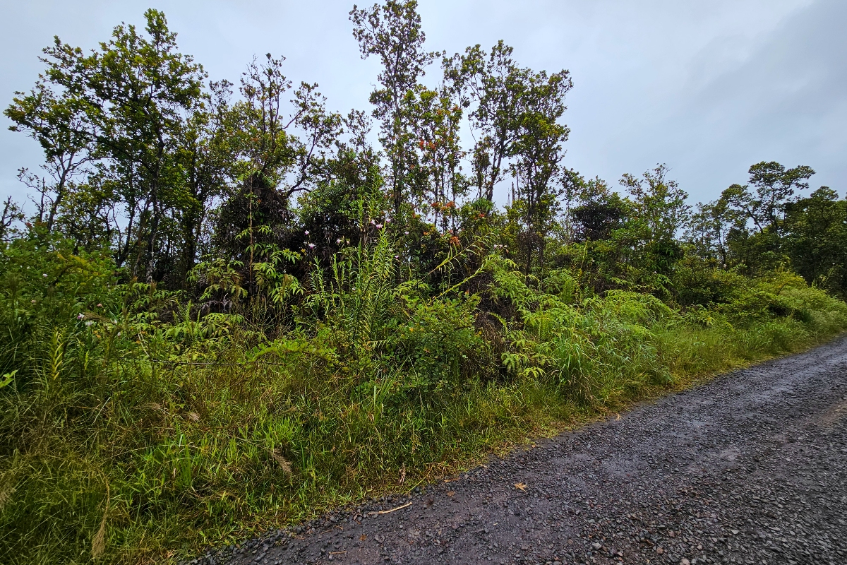 5 Makoa Road Pahoa, HI 96778 - Photo 3 of 5 a view of a plants with a tree