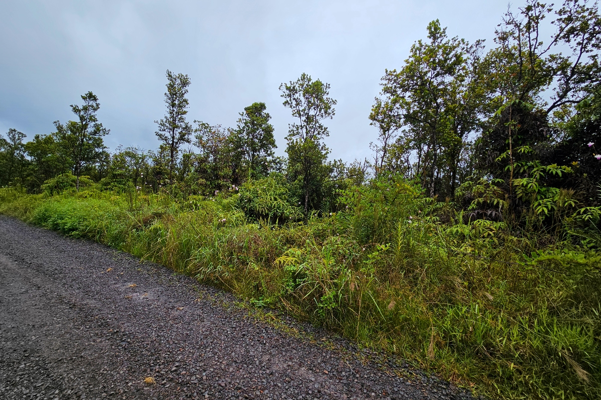 5 Makoa Road Pahoa, HI 96778 - Photo 4 of 5 a view of a large yard with lots of green space