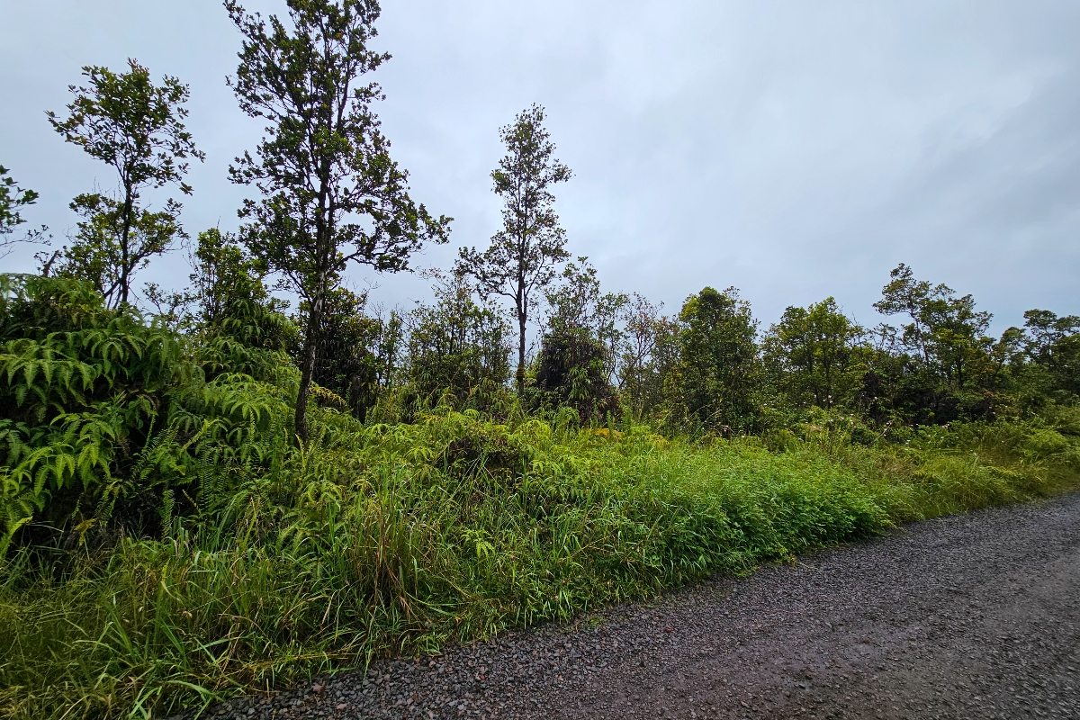 5 Makoa Road Pahoa, HI 96778 - Photo 5 of 5 a view of a yard with plants and a tree
