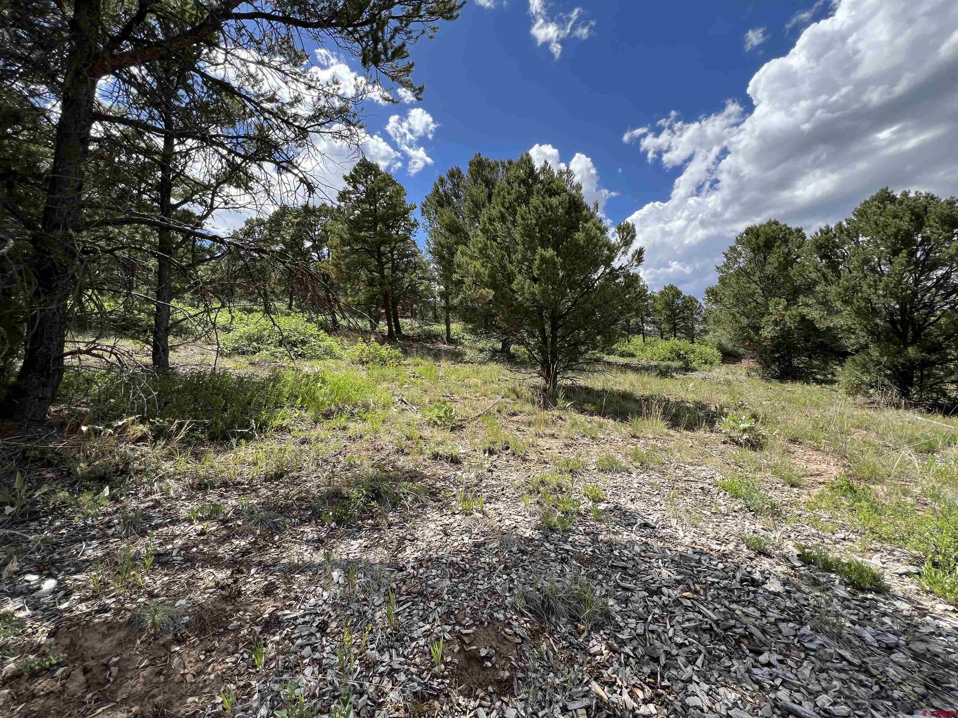 Lot 9 Pointe Escape Drive Ridgway, CO 81432 - Photo 24 of 33
