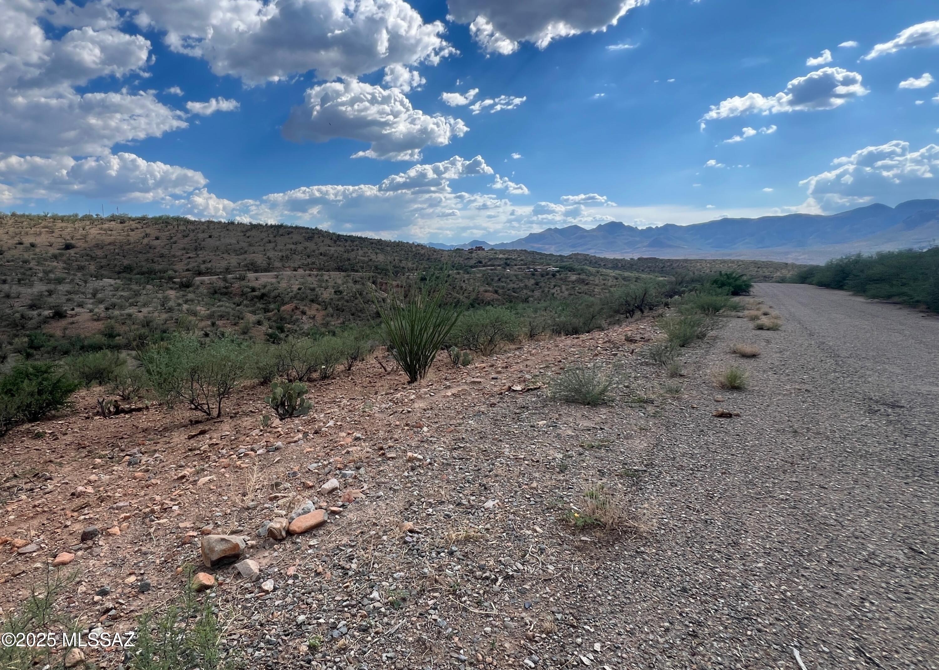 1854 Camino China, Unit 68 Rio Rico, AZ 85648 - Photo 5 of 7 West View with Road