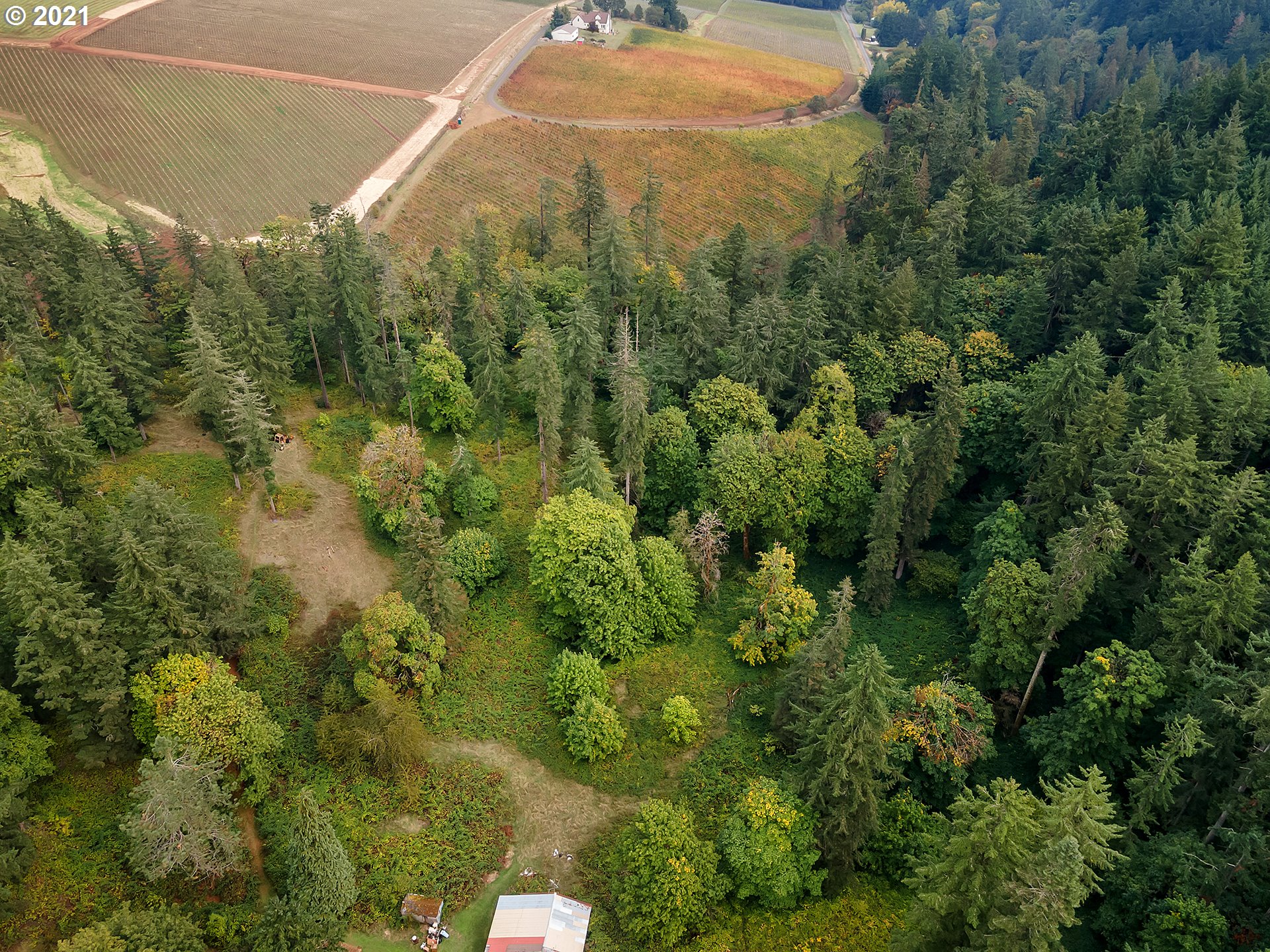 15110 Northeast Quarry Road Newberg, OR 97132 - Photo 12 of 31 Gallery Image 12