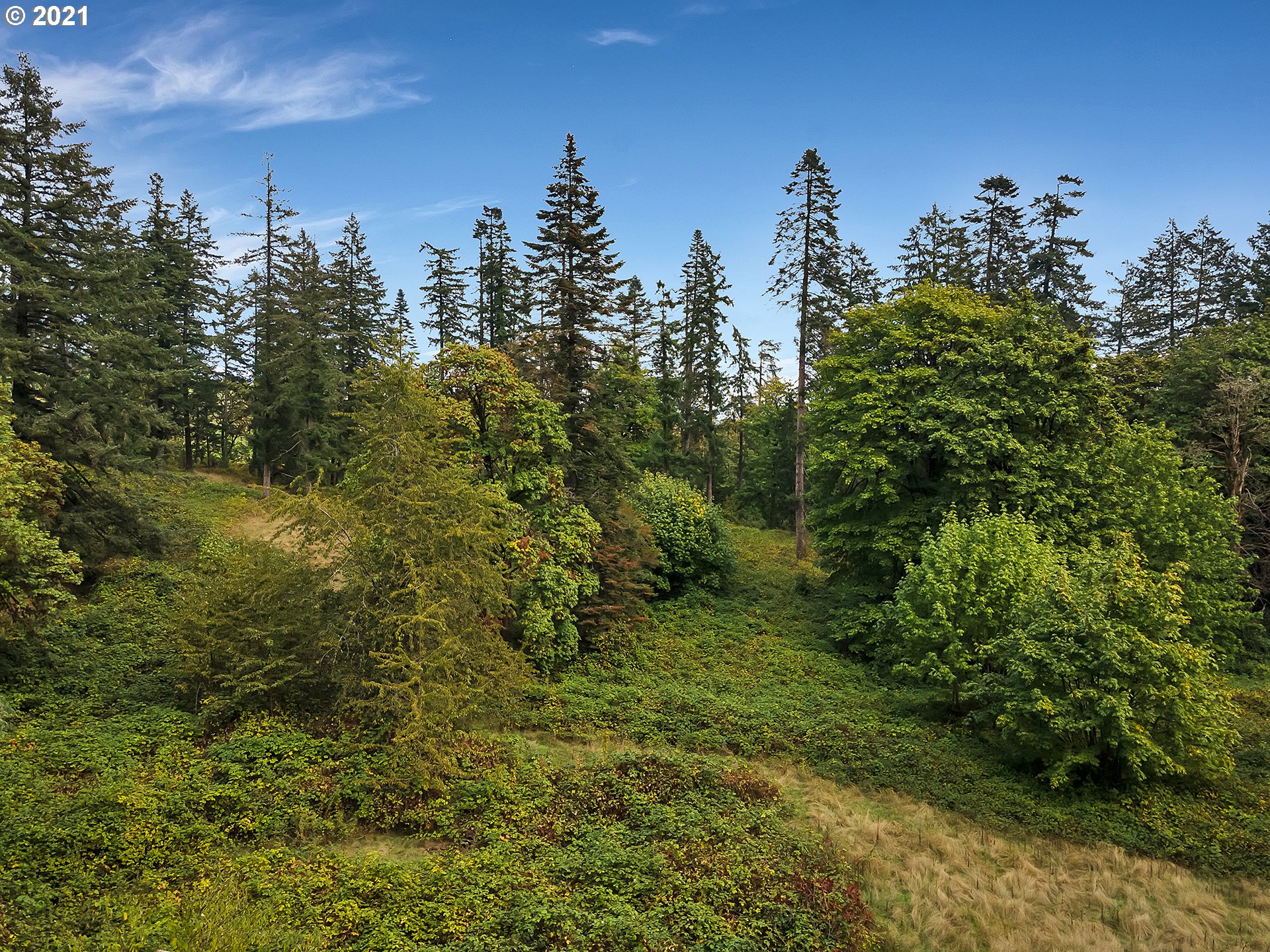 15110 Northeast Quarry Road Newberg, OR 97132 - Photo 20 of 31 Gallery Image 20