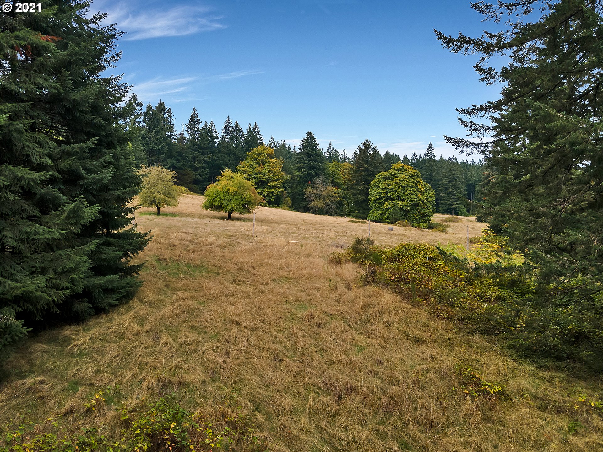 15110 Northeast Quarry Road Newberg, OR 97132 - Photo 21 of 31 Gallery Image 21