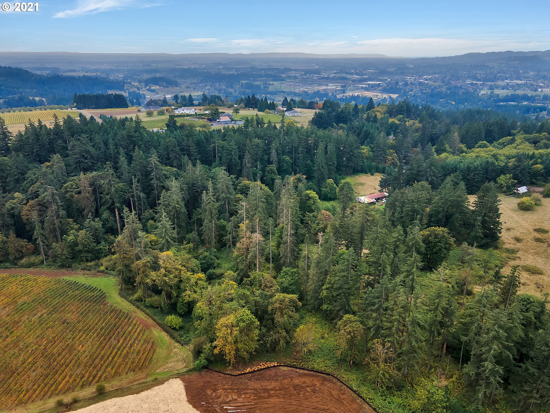 15110 Northeast Quarry Road Newberg, OR 97132 - Photo 8 of 31 Gallery Image 8