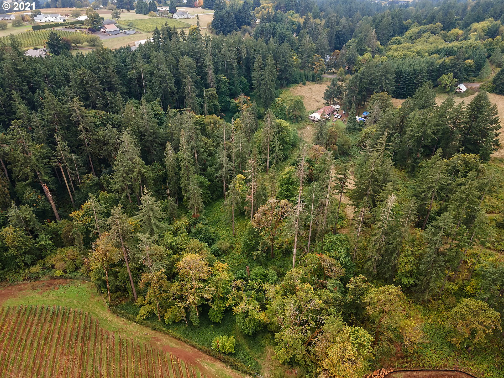 15110 Northeast Quarry Road Newberg, OR 97132 - Photo 9 of 31 Gallery Image 9