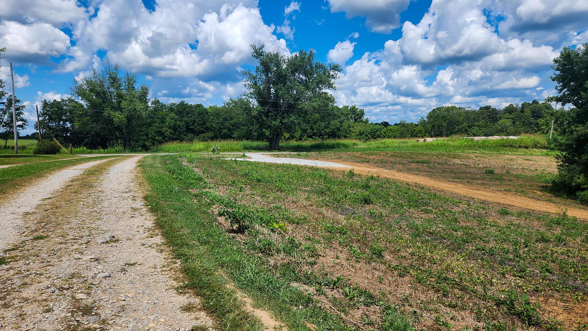 0 Old Dutch Road, Unit TRACT 2 AT OLD DUTCH) Manchester, OH 45144 - Photo 13 of 25 CT-13