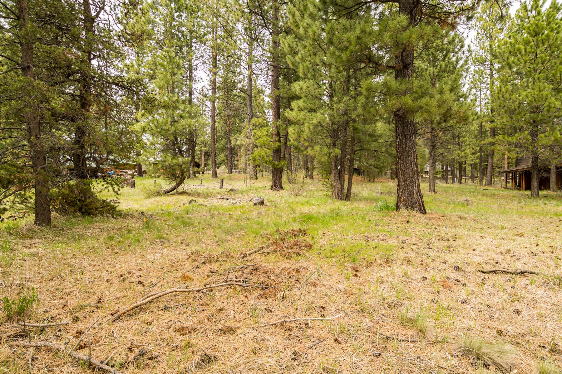 16912 Elsinore Road Bend, OR 97707 - Photo 8 of 15 JH5_9482