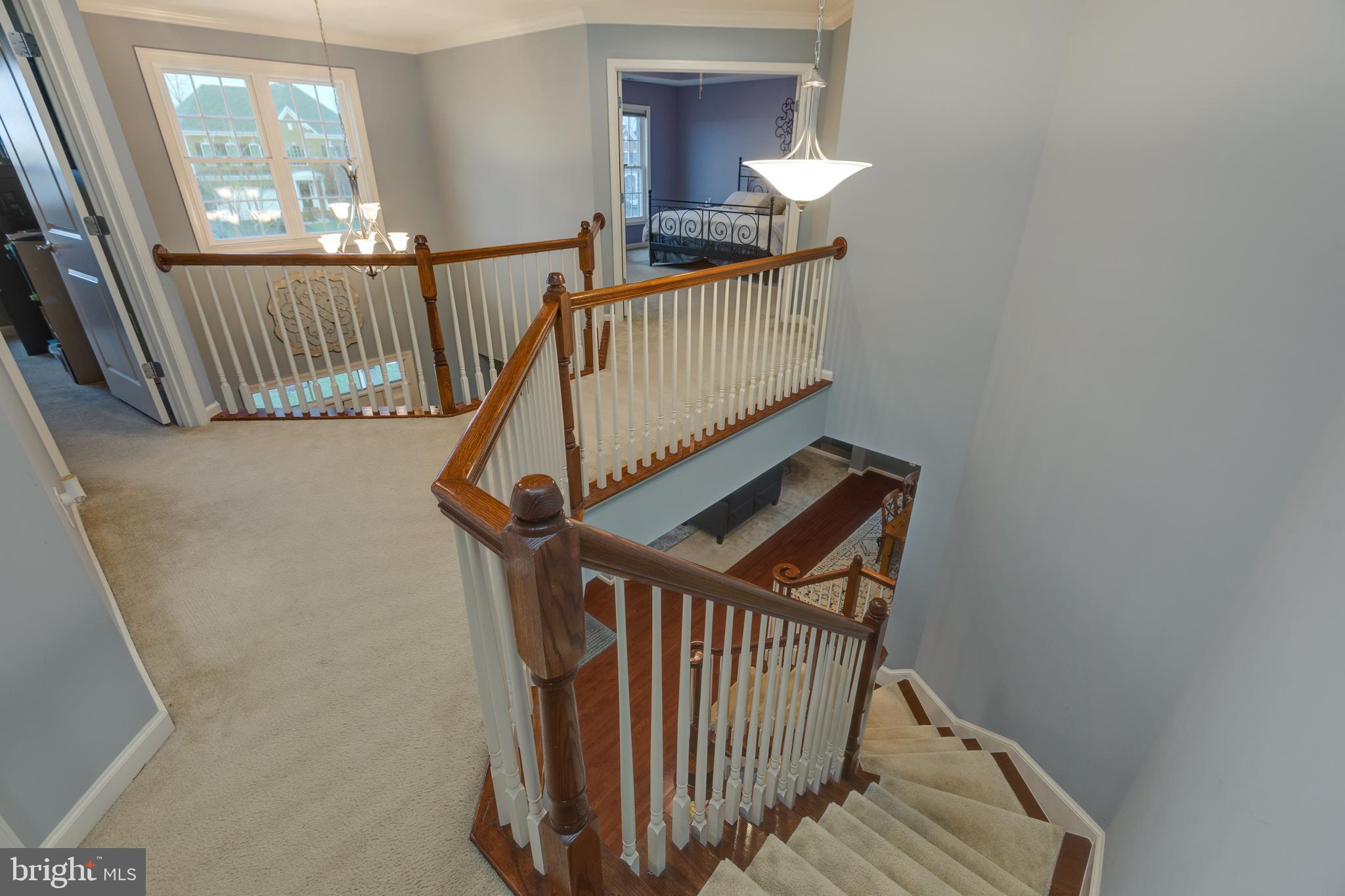 42426 Rising Moon Place Brambleton, VA 20148 - Photo 22 of 62 Gallery Image 22