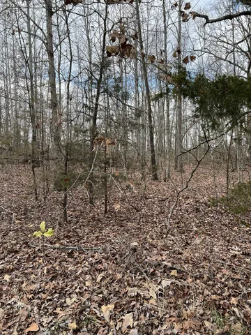 $15,000 | 0 Cheyenne Circle, Beechgrove, TN 37018