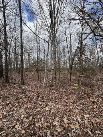 $15,000 | 0 Cheyenne Circle, Beechgrove, TN 37018