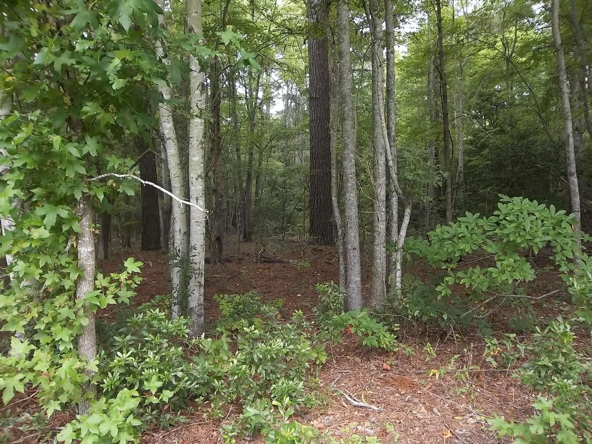 Tbd North River Landing Road Grandy, NC 27939 - Photo 1 of 1 Gallery Image 1