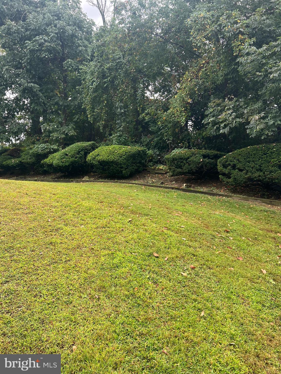 658 West Rolling Road Springfield, PA 19064 - Photo 7 of 15 a view of a swimming pool and outdoor space