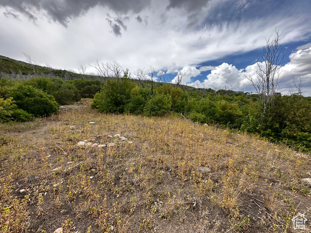 13 West Indian Ridge Drive South Fairview, UT 84629 - Photo 5 of 12 View of local wilderness featuring rural landscape