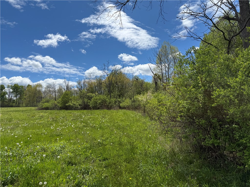 Tucker Road Ithaca, NY 14850 - Photo 11 of 38 Gallery Image 11