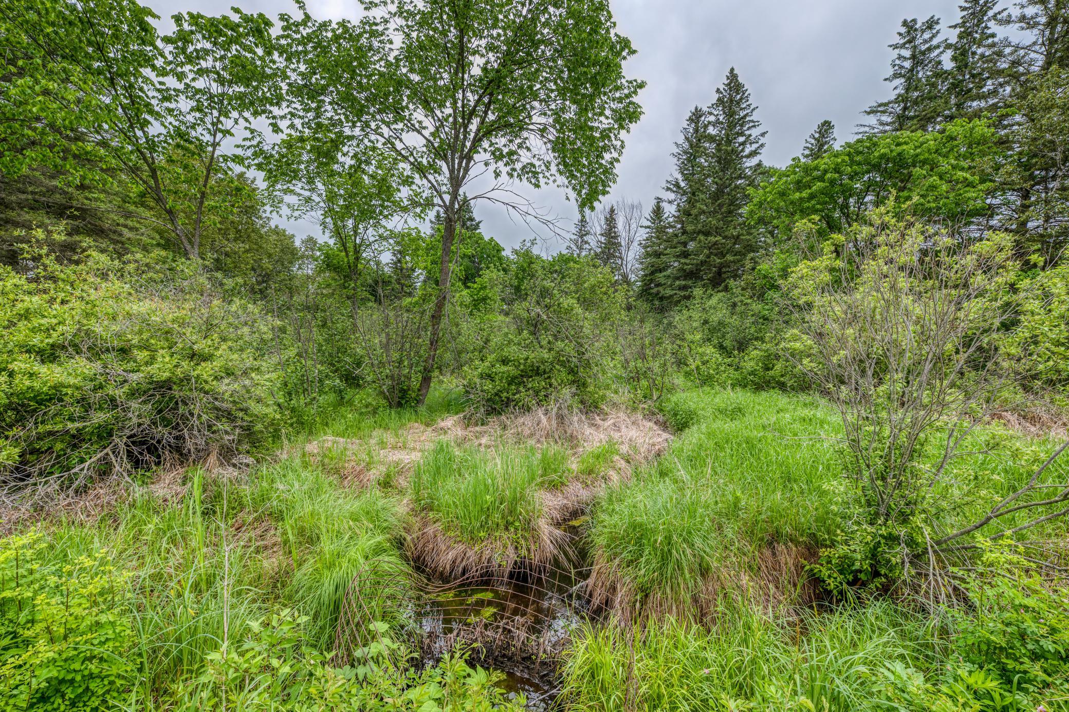 24058 County 2 Shevlin, MN 56676 - Photo 89 of 90
