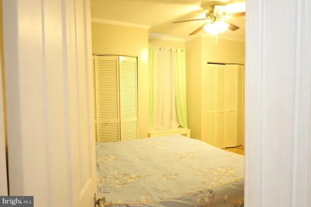 a bathroom with a shower and a window