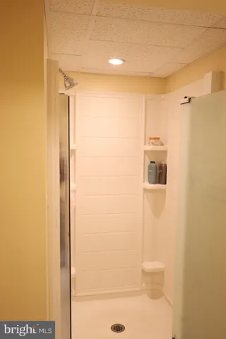 a view of a bathroom with a walk in closet and bathroom