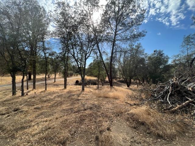 0 128-520-02 Road Prather, CA 93651 - Photo 8 of 10 Gallery Image 8