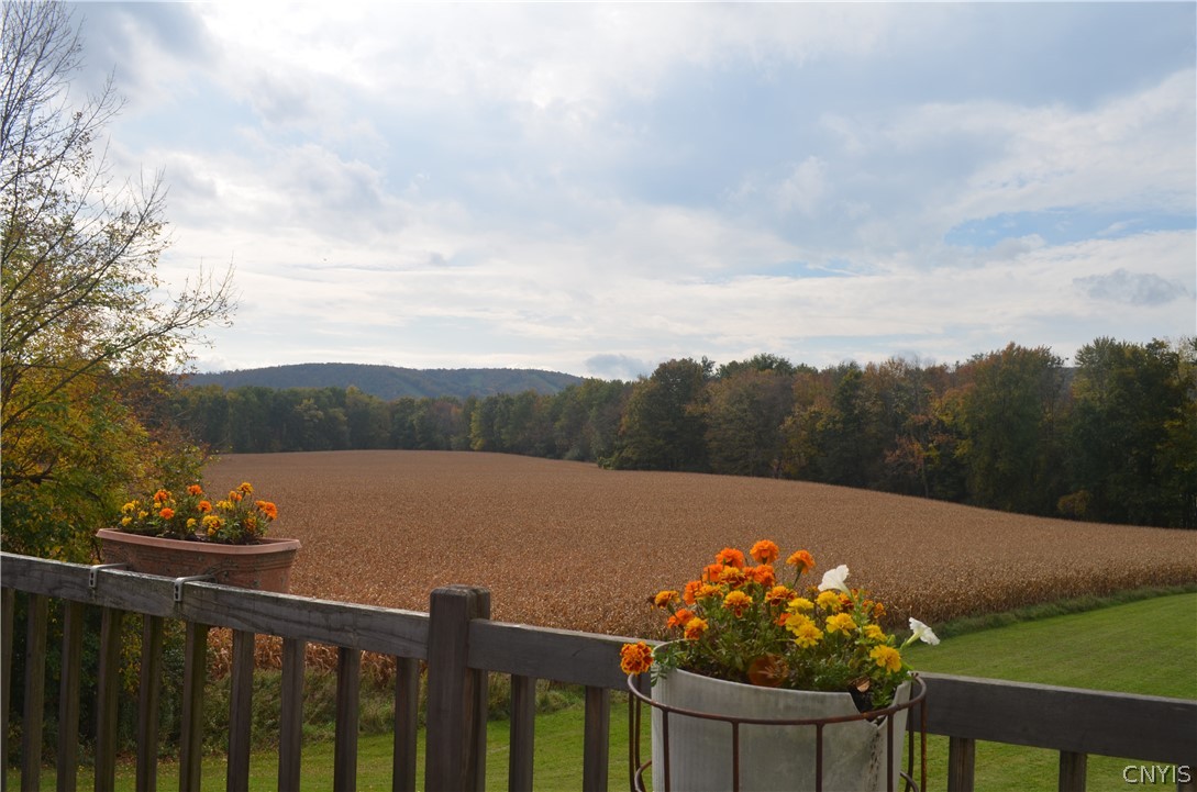 5479 Lake Road Tully, NY 13159 - Photo 8 of 41 A view you can rarely get anywhere else. Beautiful
