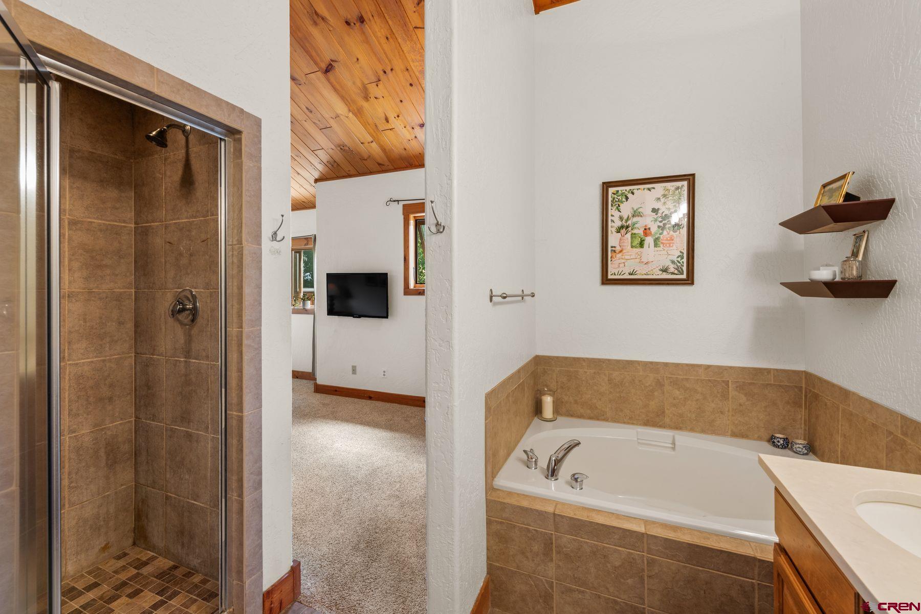 311 Cement Creek Road, Unit E Crested Butte, CO 81224 - Photo 11 of 26