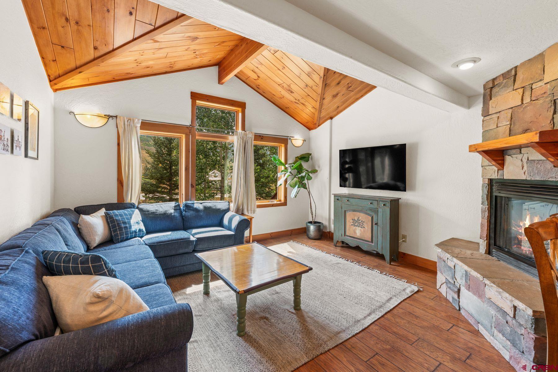 311 Cement Creek Road, Unit E Crested Butte, CO 81224 - Photo 2 of 26