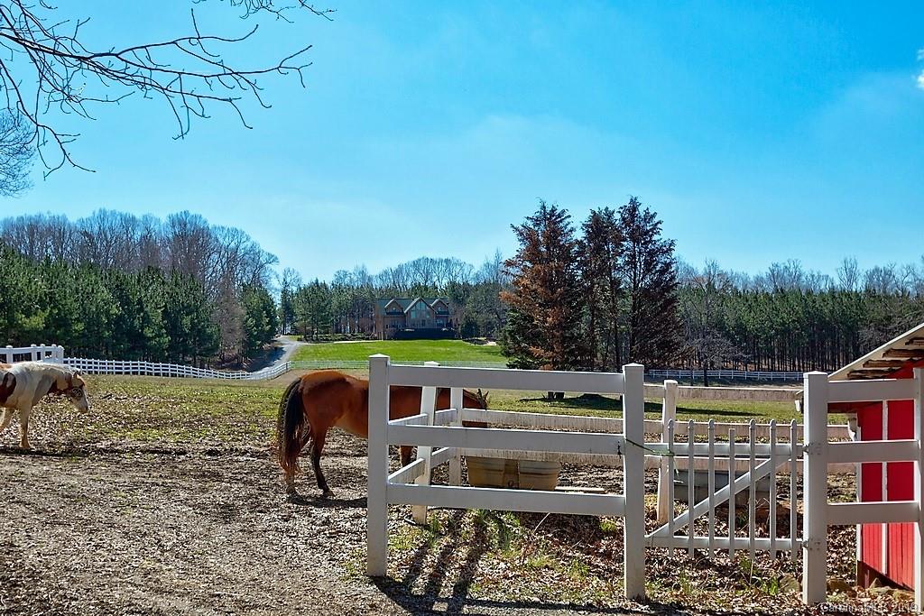 10663 Cool Springs Road Woodleaf, NC 27054 - Photo 33 of 36 Gallery Image 33
