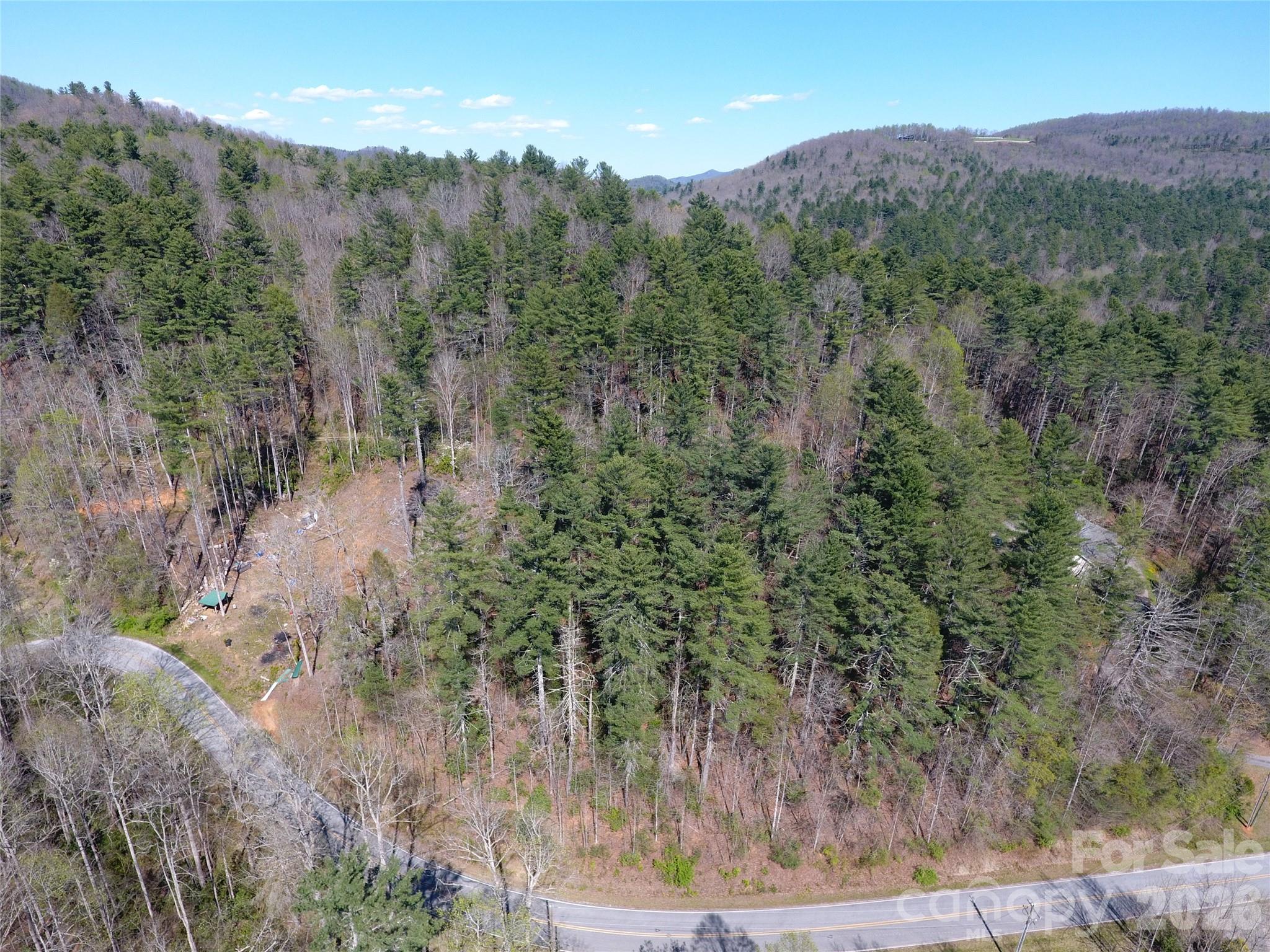 0 Rock Creek Road Zirconia, NC 28790 - Photo 1 of 11 a view of a forest with a forest