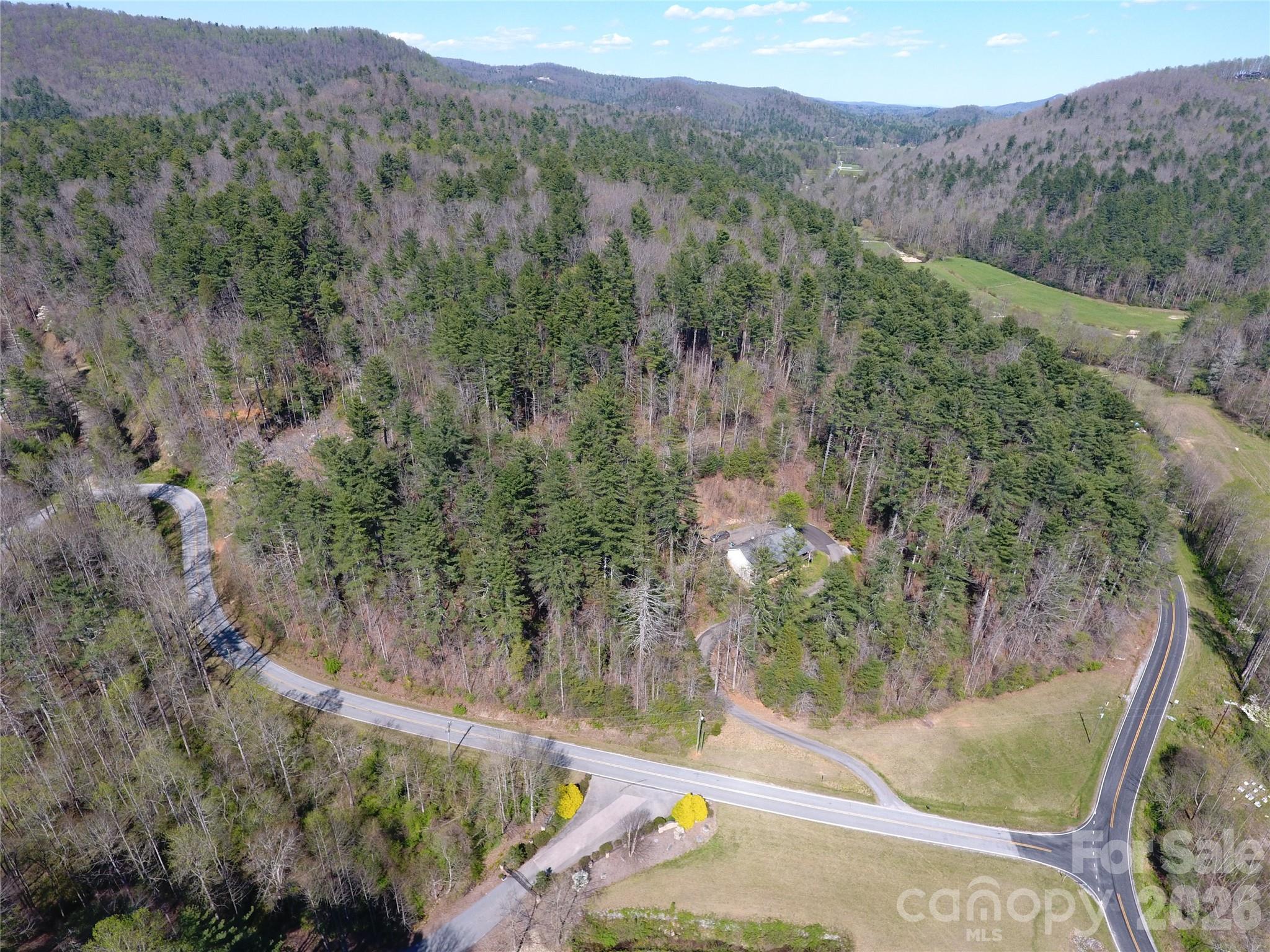 0 Rock Creek Road Zirconia, NC 28790 - Photo 6 of 11 a view of a mountain from a yard