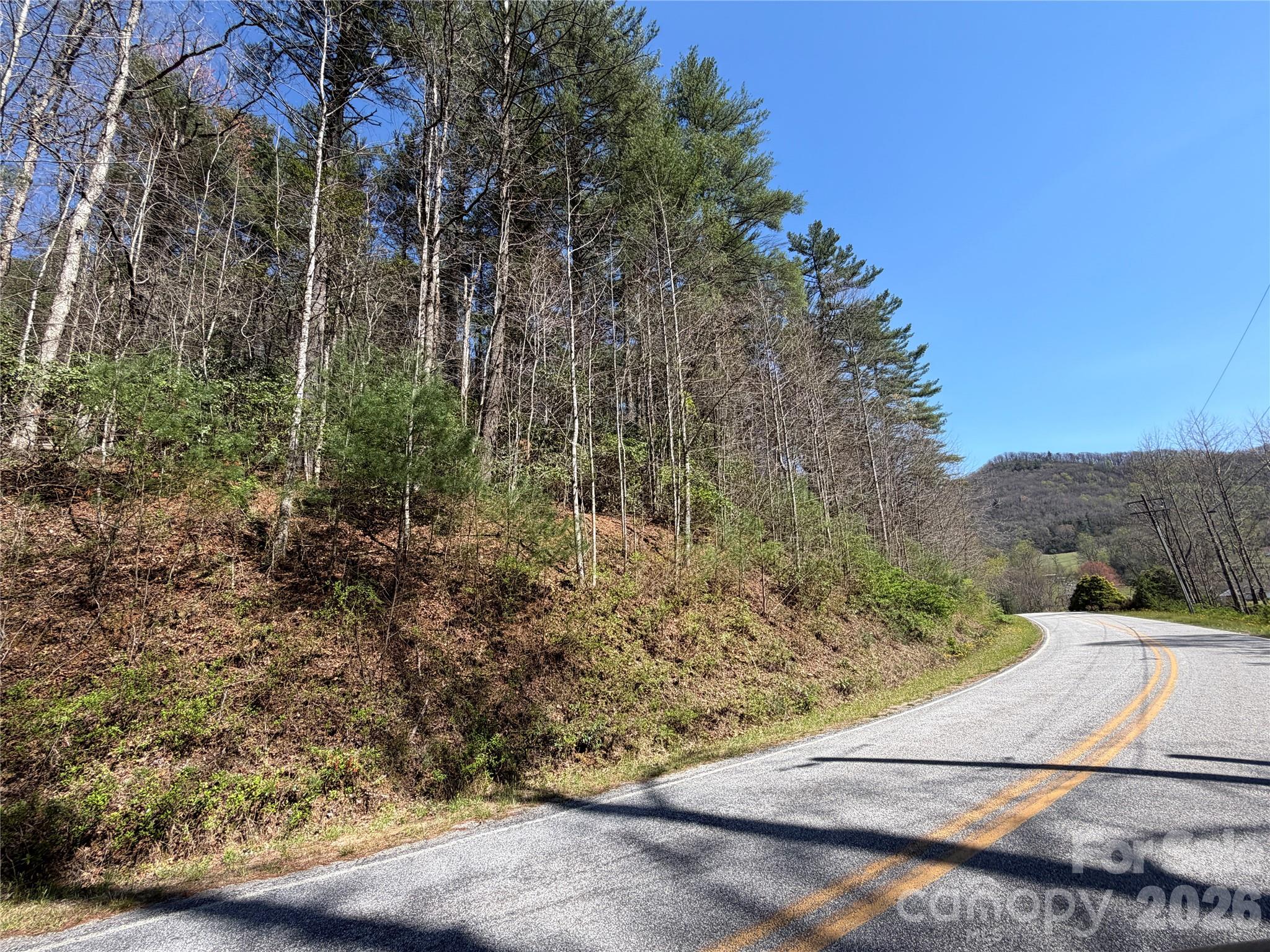0 Rock Creek Road Zirconia, NC 28790 - Photo 10 of 11 a view of outdoor space and yard
