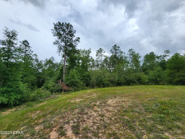 $22,500 | 0 Reed Court, Unit LOT 14, Alford, FL 32420