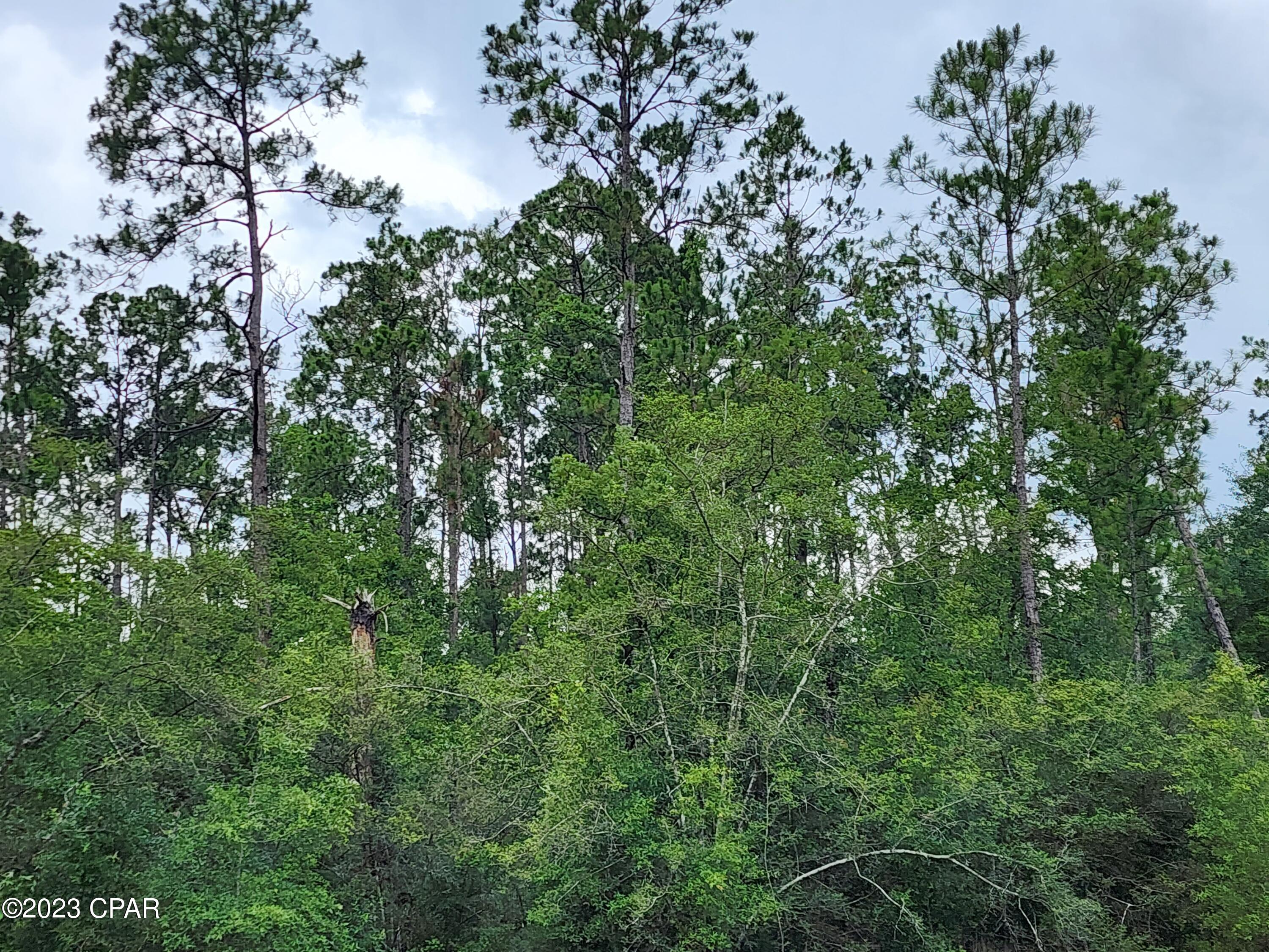 0 Reed Court, Unit LOT 14 Alford, FL 32420 - Photo 8 of 10