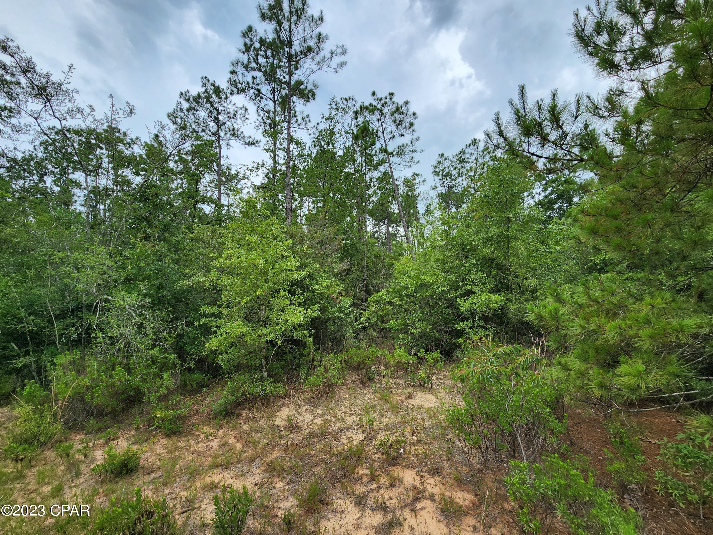 0 Reed Court, Unit LOT 14 Alford, FL 32420 - Photo 9 of 10