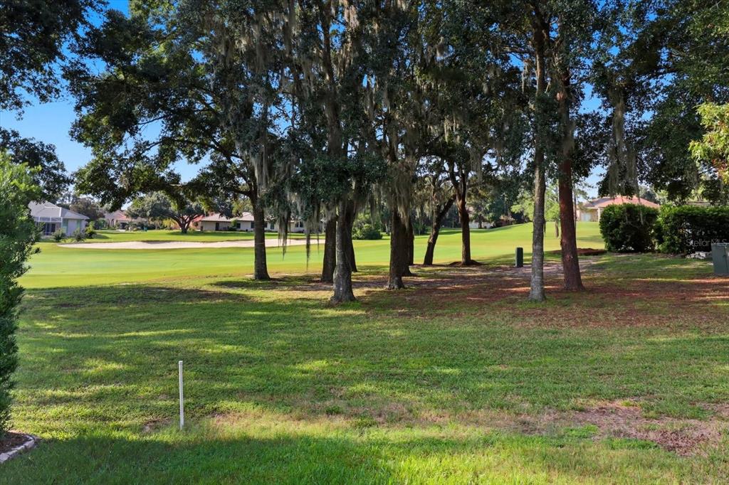 366 West Doerr Path Hernando, FL 34442 - Photo 36 of 47 a view of yard with swimming pool and trees