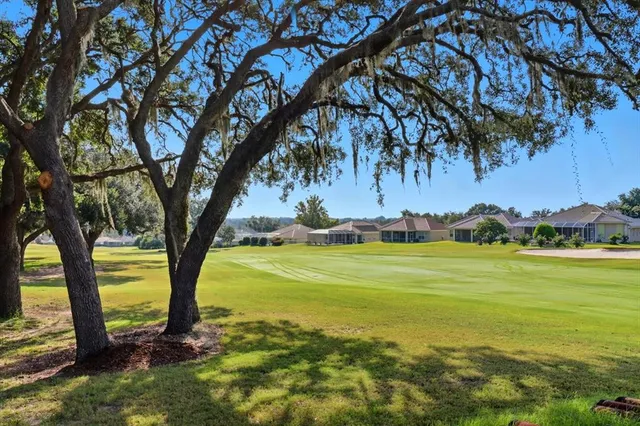 a view of a field with a tree