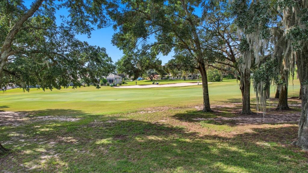 366 West Doerr Path Hernando, FL 34442 - Photo 38 of 47 a view of a field with a tree