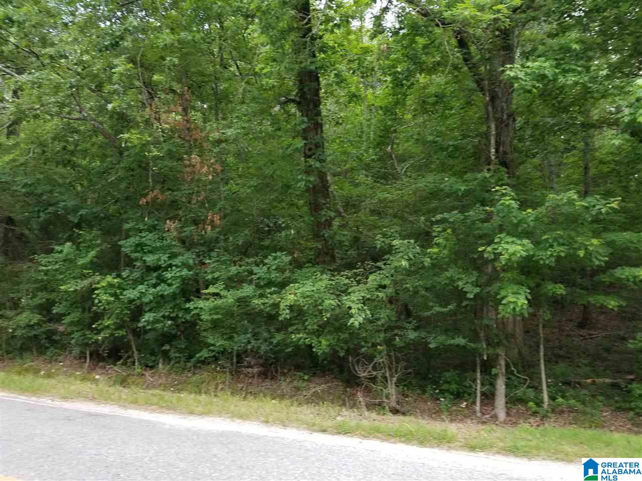 0 Rocky Hollow Road, Unit 12 Jacksonville, AL 36265 - Photo 11 of 15