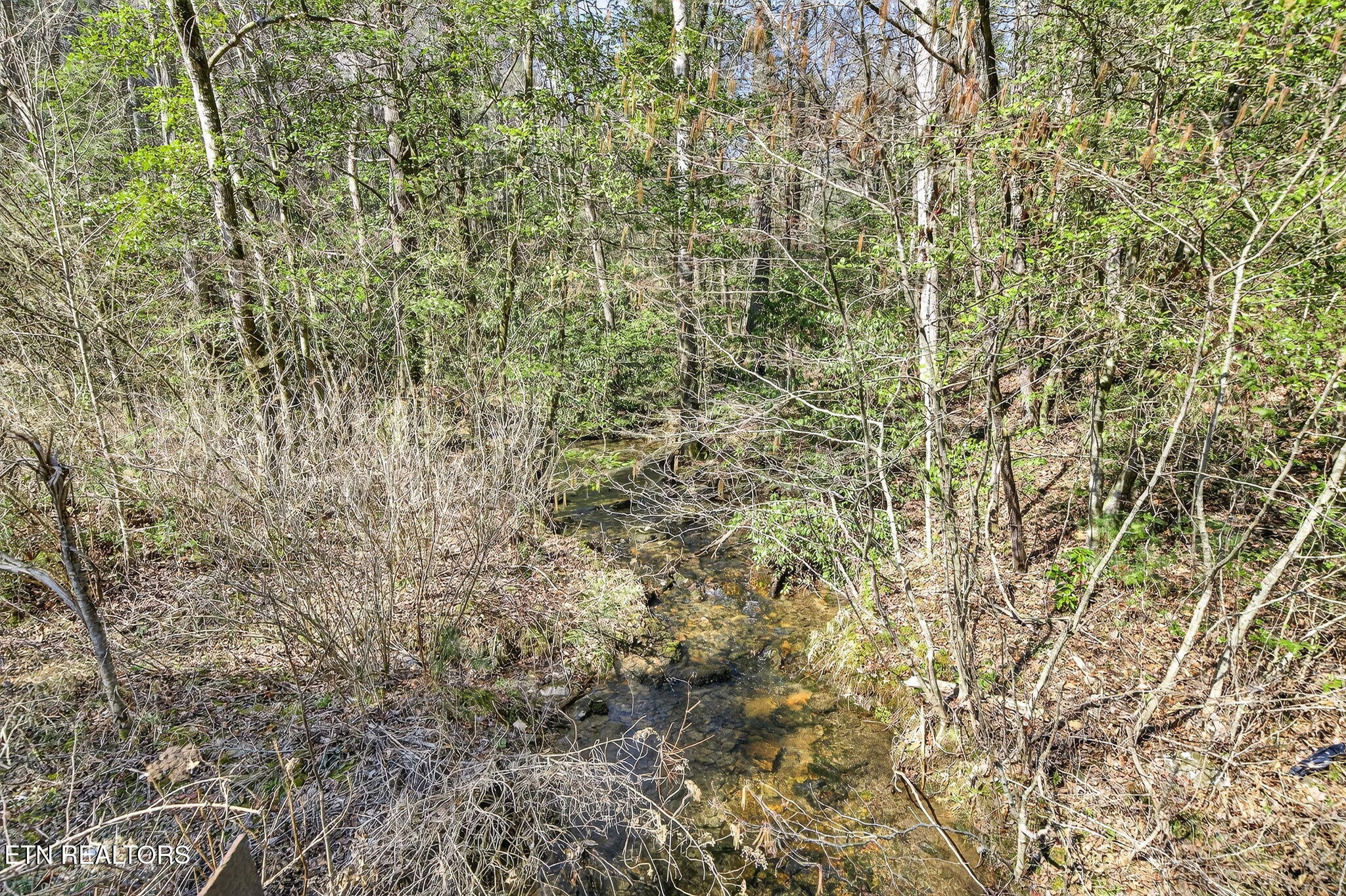 0 Dogwood Road Grandview, TN 37337 - Photo 1 of 16
